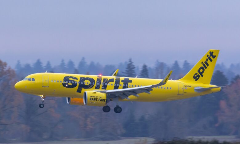 Spirit Airlines Passengers Claim Rat Was Allegedly Crawling On Flight Ceiling