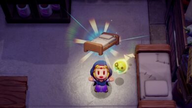 Players are turning 'Echoes' in 'The Legend of Zelda: Echoes of Wisdom' into cheat codes