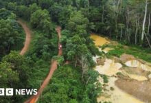 Ghana's illegal gold mining industry damages the environment