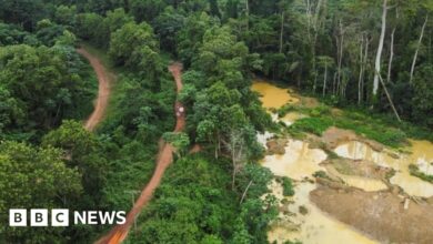 Ghana's illegal gold mining industry damages the environment