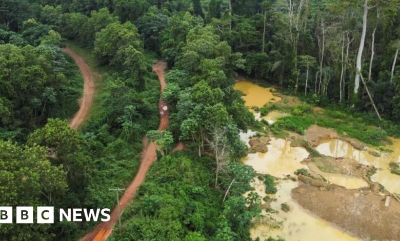 Ghana's illegal gold mining industry damages the environment