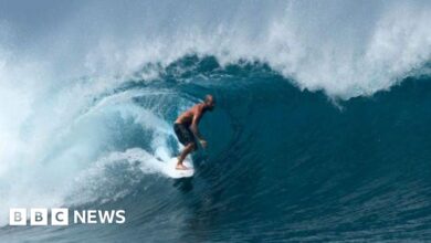 Surfer dies after reportedly being attacked by Indonesian swordfish