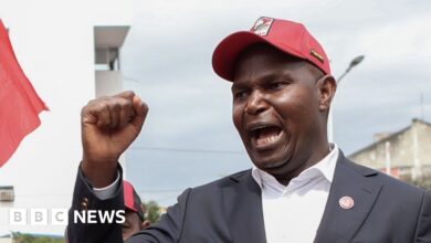 Frelimo's Daniel Chapo wins controversial presidential election