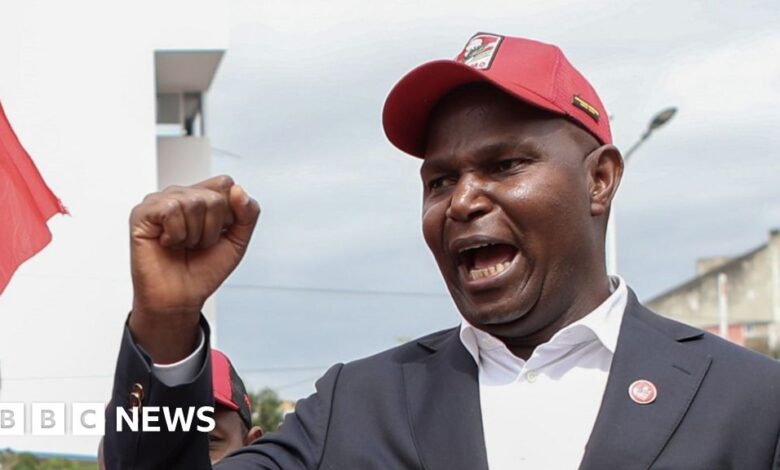 Frelimo's Daniel Chapo wins controversial presidential election