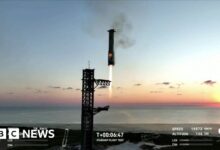 SpaceX Starship booster stuck in mid-air