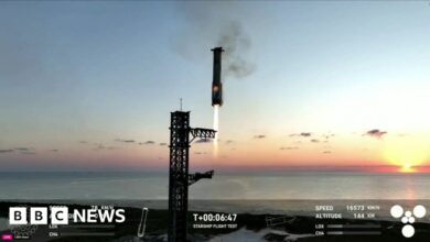 SpaceX Starship booster stuck in mid-air