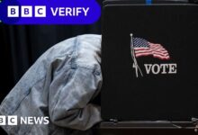 Can illegal immigrants really vote in US elections?