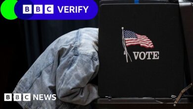 Can illegal immigrants really vote in US elections?