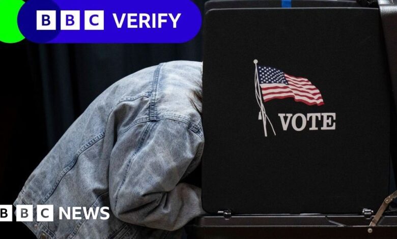 Can illegal immigrants really vote in US elections?