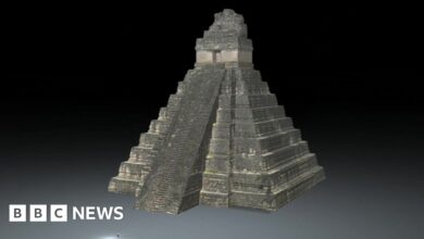 What the discovered Maya city Valeriana might have looked like