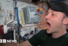 Ketchup in space: 'You have to spit it out'