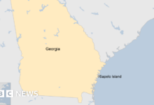 At least 7 people died in a pier collapse in Georgia