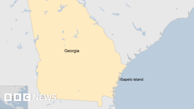 At least 7 people died in a pier collapse in Georgia