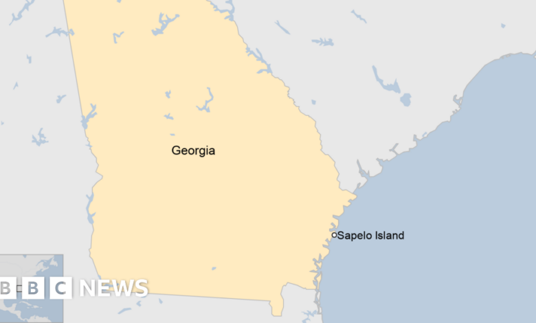 At least 7 people died in a pier collapse in Georgia