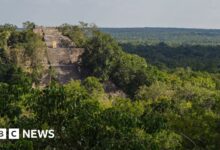 The lost city of Maya was found in the Mexican jungle by accident