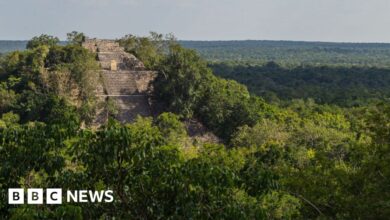 The lost city of Maya was found in the Mexican jungle by accident