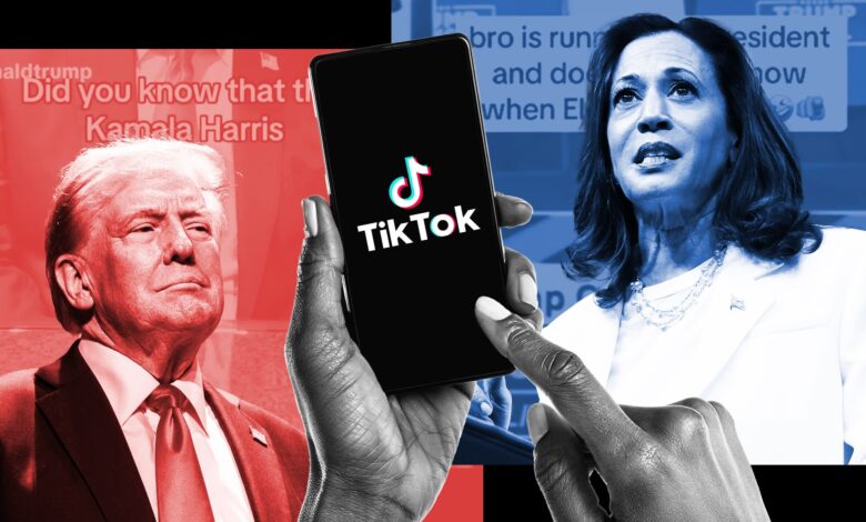 TikTok Election: Trump and Harris compete for young voters