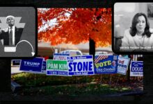 How the US election plays out in swing states