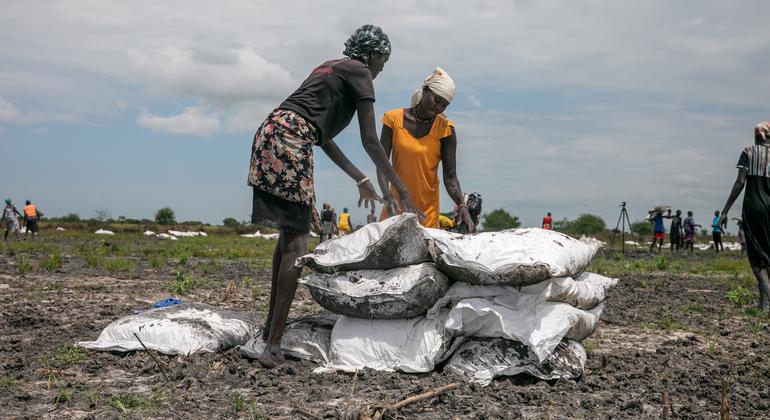 The hunger and cholera crisis escalates in South Sudan as demand increases