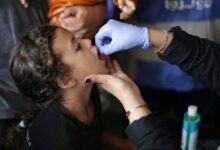 Gaza: Polio campaign reaches 94,000 children in besieged north