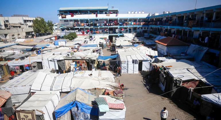 Gaza: 'People lose hope' as aid access in the north is denied, UNRWA warns