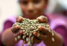 The cost of coffee, tea and cocoa has caused the global food import bill to skyrocket to $2 trillion