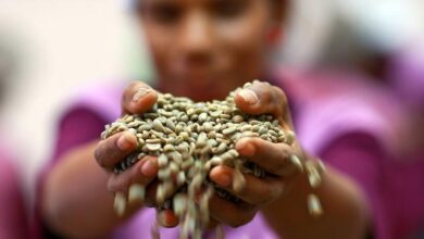 The cost of coffee, tea and cocoa has caused the global food import bill to skyrocket to $2 trillion