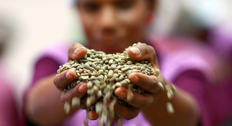 The cost of coffee, tea and cocoa has caused the global food import bill to skyrocket to $2 trillion