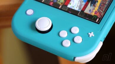 Developers of new Switch emulators are jumping through hoops to avoid being taken down by Nintendo