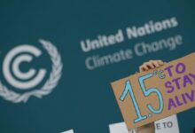 The draft COP29 agreement proposes rich countries provide $250 billion in climate finance