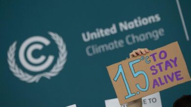 The draft COP29 agreement proposes rich countries provide $250 billion in climate finance