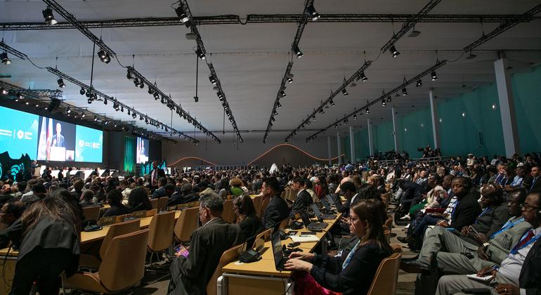 COP29 climate talks end with $300 billion annual pledge, but developing nations call deal 'an insult'