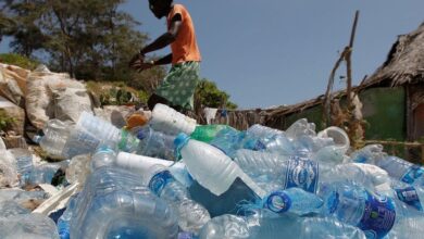 Global plastics treaty: UN experts call for human rights to take center stage