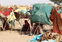 Millions of women and girls forced to flee face high risk of gender-based violence: UNHCR