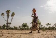 What is desertification? Experts hope the devastating trend can be reversed