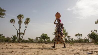 What is desertification? Experts hope the devastating trend can be reversed