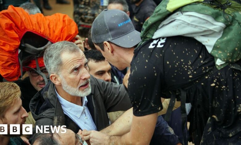 The King and Queen of Spain were thrown mud into flood waters in Valencia