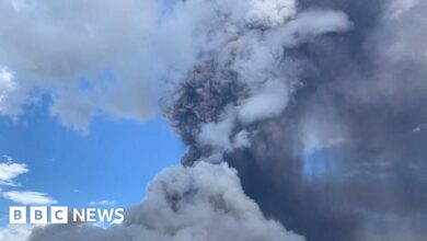 Indonesia's Lewotobi Laki-laki mountain spews a huge column of ash