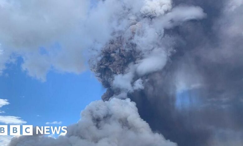 Indonesia's Lewotobi Laki-laki mountain spews a huge column of ash