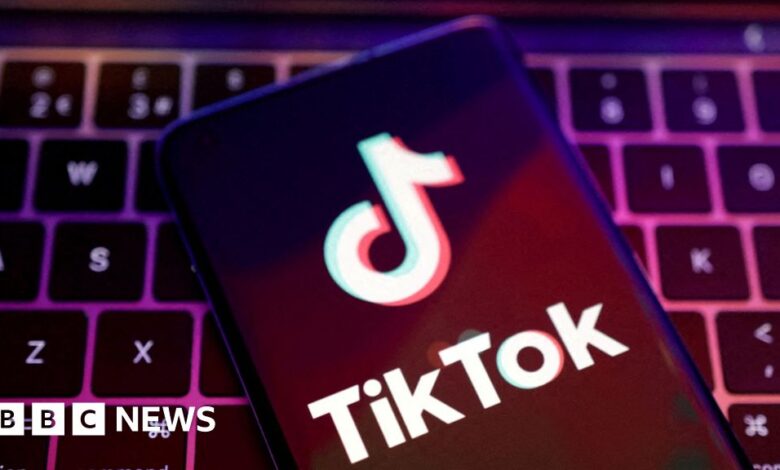 French families sue TikTok for harmful content