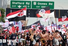 Māori protested when hikoi arrived in Wellington