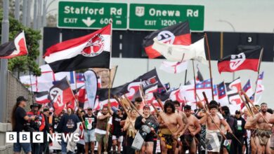 Māori protested when hikoi arrived in Wellington