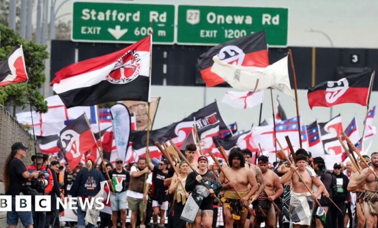 Māori protested when hikoi arrived in Wellington