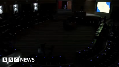 Zimbabwe's parliament suffered a power cut during Mthuli Ncube's budget speech