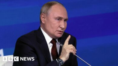 Putin praised Donald Trump for 'courage' after being elected