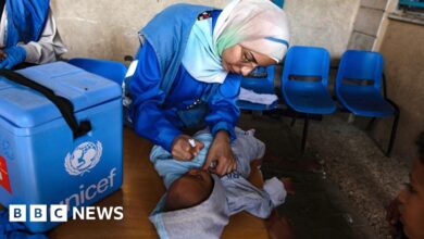 Gaza's polio vaccination program restarts in the north of the territory