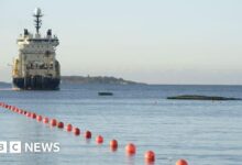 The undersea fiber optic cable between Germany and Finland was cut