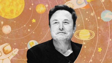 Inside Elon Musk's new private preschool plan in Texas that has just been licensed to open