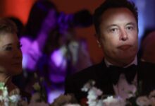 DOGE candidates will have to pay Elon Musk to send him his resume