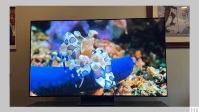 A large screen tv showing an underwater scene of fish and coral